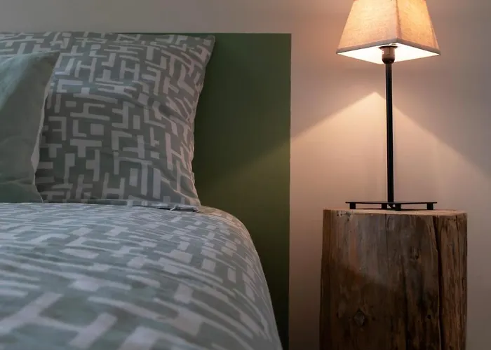 Апартаменты L'eugenie - Design & Confort En Centre-ville Виши